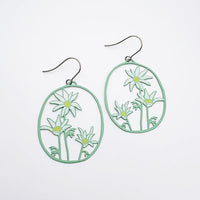 Denz - Flannel Flower