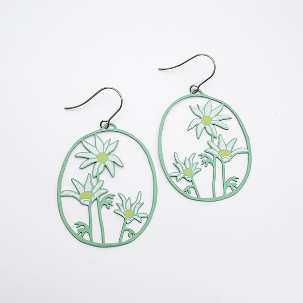 Denz - Flannel Flower