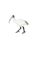 Red Parka Pin - Australian Ibis