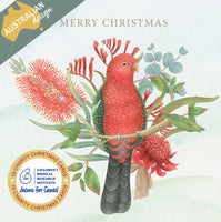 Christmas Card Pack - Floral King Parrot