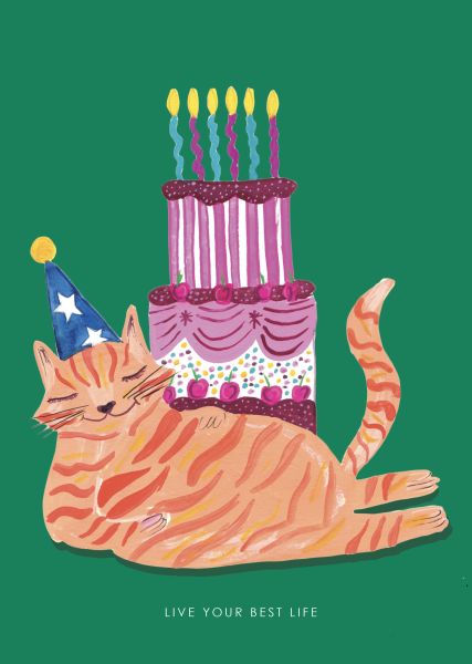 SNH Card - Birthday Fat Cat and Cake