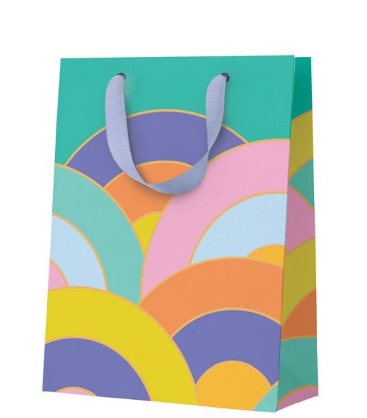 Gift Bag Medium - Rainbow Arcs