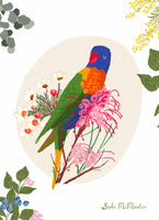 Suki McMaster Card - Rainbow Lorikeet