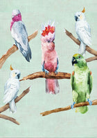 Magnet - STL - Australian Birds