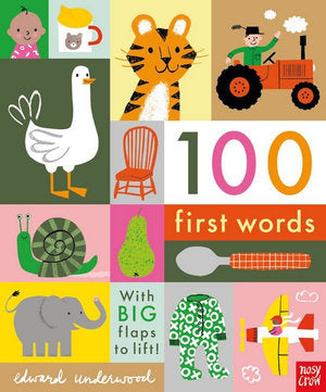 Board Book - 100 First Words