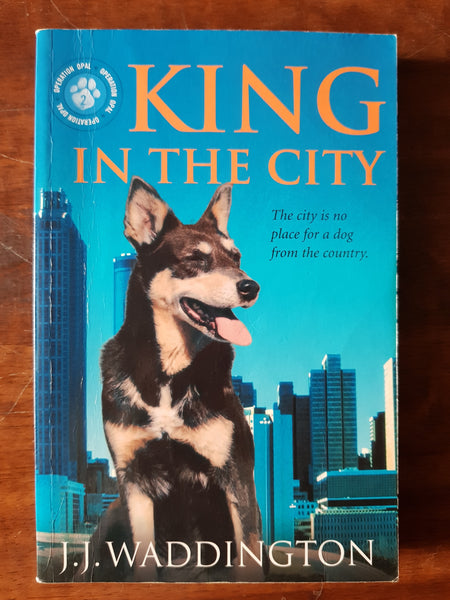 Waddington, JJ - King in the City (Paperback)