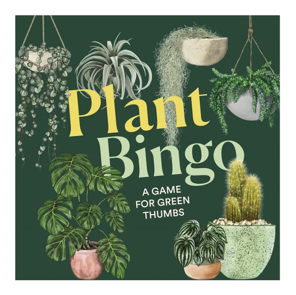 Bingo - Plant
