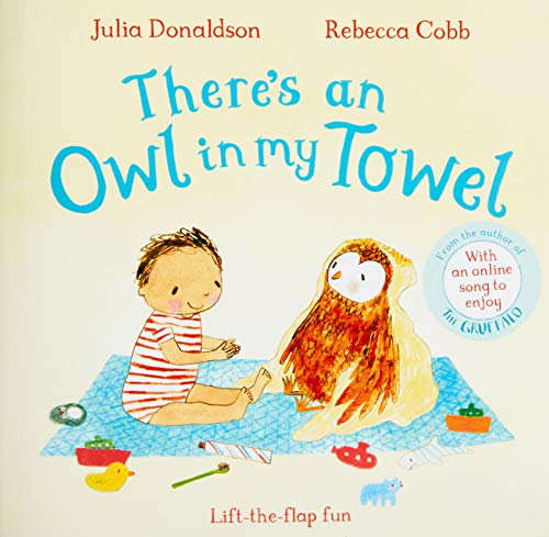 Board Book - Donaldson, Julia - There's an Owl in My Towel