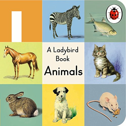 Buggy Book - Ladybird Animals