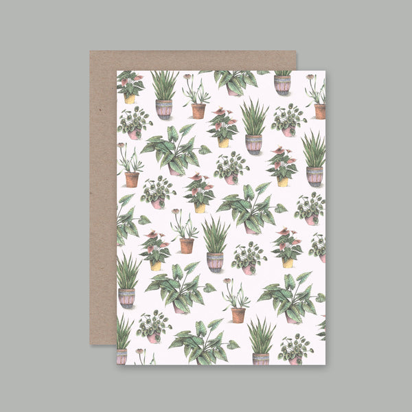 Ahd Paper Co - House Plants