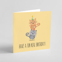 The Little Blah - Have A Fur-Real Birthday