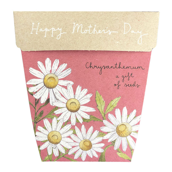 Sow n Sow - Mother's Day Chrysanthemum