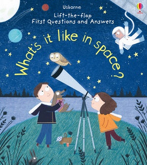 Board Book - Usborne Lift the Flap First Questions and Answers - What's It Like In Space?