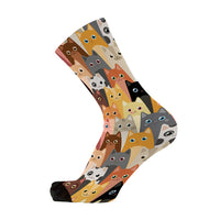 Red Fox Sox - Herding Cats