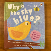 Taylor, Geraldine - Why is the Sky Blue (Hardcover)