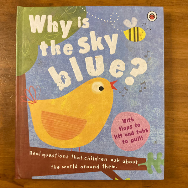 Taylor, Geraldine - Why is the Sky Blue (Hardcover)