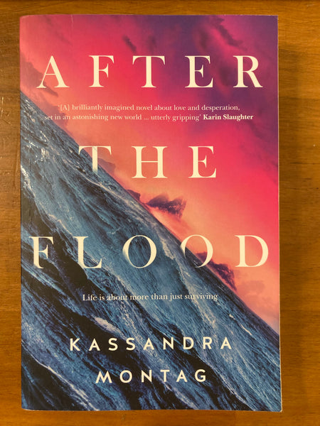 Montag, Kassandra - After the Flood (Trade Paperback)