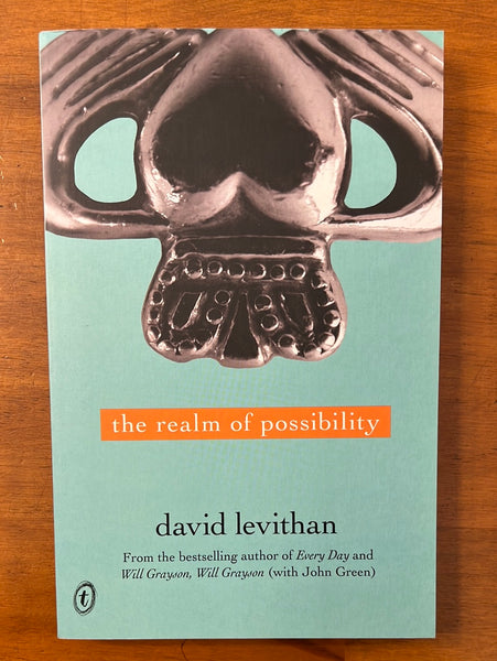 Levithan, David - Realm of Possibility (Paperback)