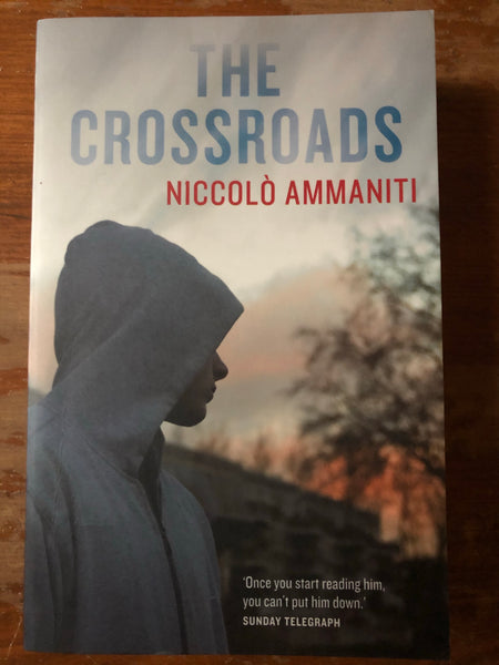 Ammaniti, Niccolo - Crossroads (Paperback)
