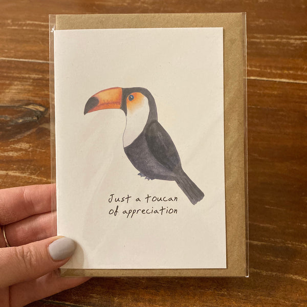 The Curious Cactus - Toucan of Appreciation