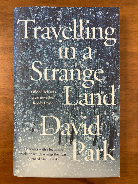 Park, David - Travelling in a Strange Land (Hardcover)