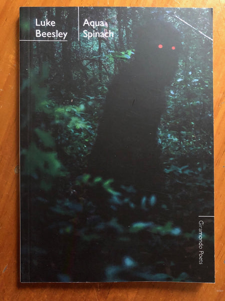 Beesley, Luke - Aqua Spinach (Paperback)