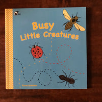 Bowden, Fiona - Busy Little Creatures (Paperback)