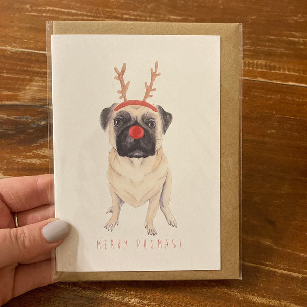 The Curious Cactus - Merry Pugmas