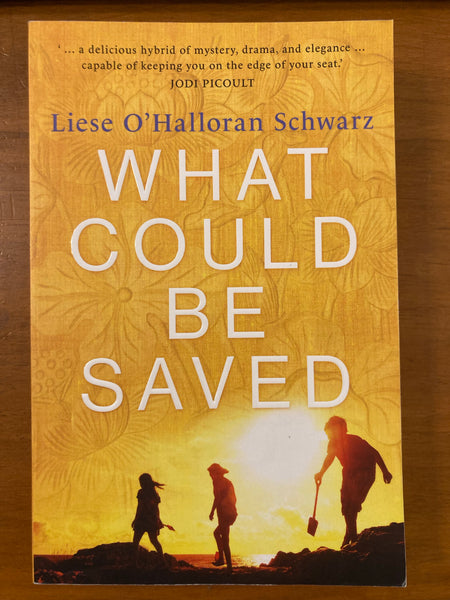 Schwarz, Liese O'Halloran - What Could Be Saved (Trade Paperback)