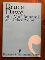 Dawe, Bruce - Slo Mo Tsunami (Paperback)