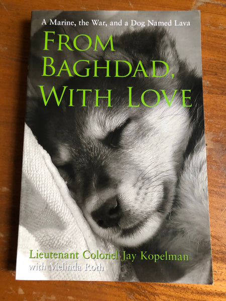 Kopelman, Jay - From Baghdad with Love (Trade Paperback)