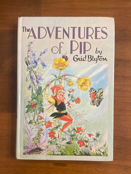 Blyton, Enid - Adventures of Pip (Hardcover)