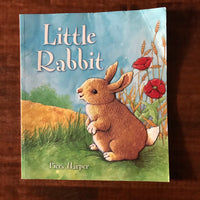 Harper, Piers - Little Rabbit (Paperback)
