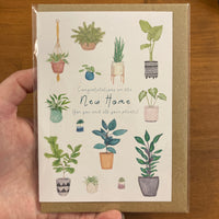 The Curious Cactus - New Home Plants