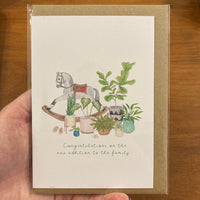 The Curious Cactus - New Addition to the Family