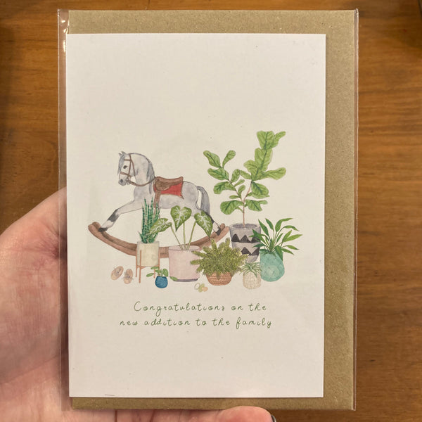 The Curious Cactus - New Addition to the Family