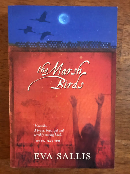 Sallis, Eva - Marsh Birds (Paperback)