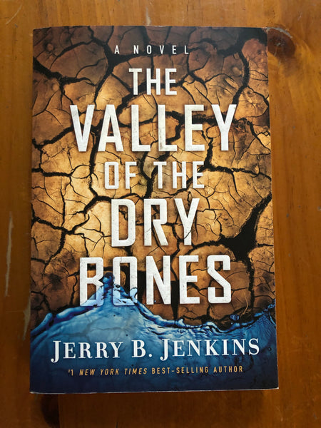 Jenkins, Jerry - Valley of the Dry Bones (Trade Paperback)