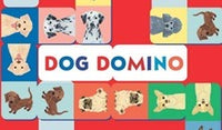 Domino - Dog