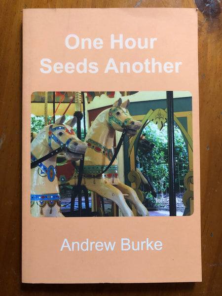 Burke, Andrew - One Hour Seeds Another (Paperback)
