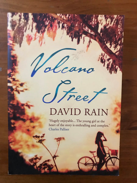 Rain, David - Volcano Street (Paperback)