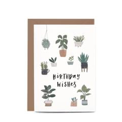 In the Daylight - Birthday Potted Plants