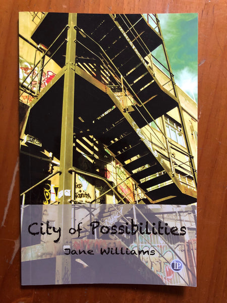 Williams, Jane - City of Possibilities (Paperback)