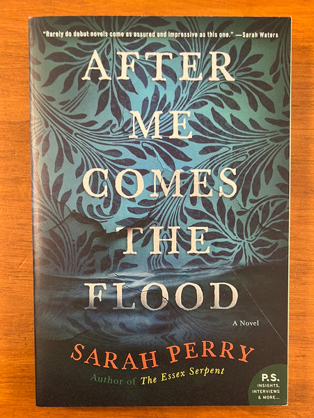Perry, Sarah - After Me Comes the Flood (Paperback)