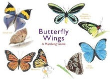 Memory/Match - Butterfly Wings
