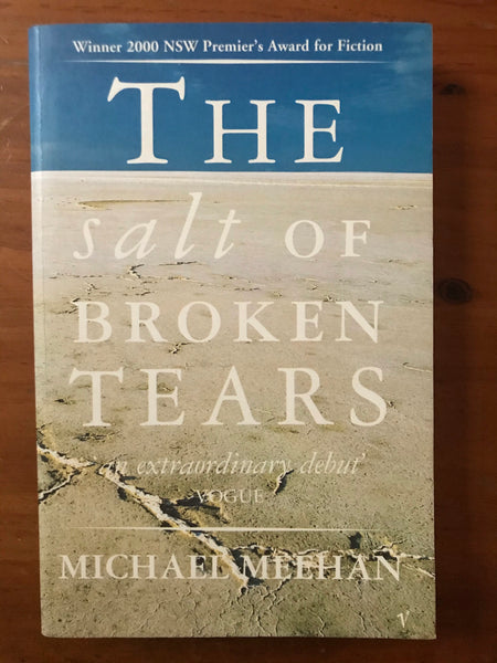 Meehan, Michael - Salt of Broken Tears (Paperback)