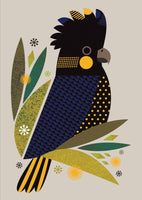 Greeting Card - Black Cockatoo