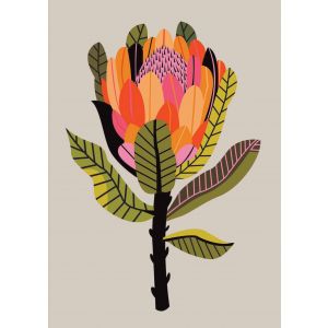 Greeting Card - Protea