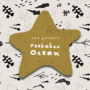 Cloth Book - Wee Gallery Peekaboo Ocean
