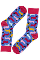 my2socks - sausage dog